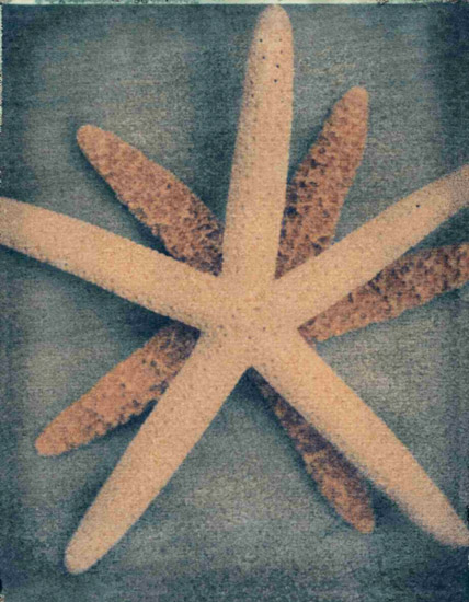 Kompatibelt Fortfarande liv till Jahrriesnge starfish-lpf00176  Kompatibelt Fortfarande liv Jahrriesnge  till starfish-lpf00176