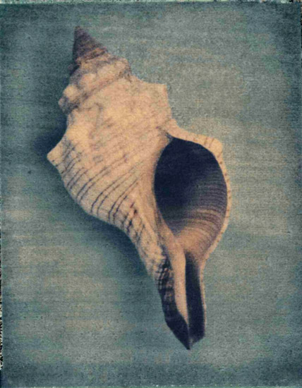 Kompatibelt Fortfarande liv till Jahrriesnge conch-lpf00177  Kompatibelt Fortfarande liv Jahrriesnge  till conch-lpf00177