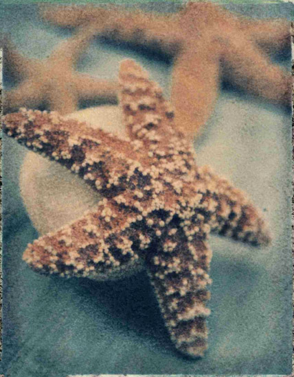 Kompatibelt Fortfarande liv till Jahrriesnge starfish-lpf00178  Kompatibelt Fortfarande liv Jahrriesnge  till starfish-lpf00178