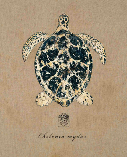 Kompatibelt Fortfarande liv till Jahrriesnge tortoise-lpf00179  Kompatibelt Fortfarande liv Jahrriesnge  till tortoise-lpf00179