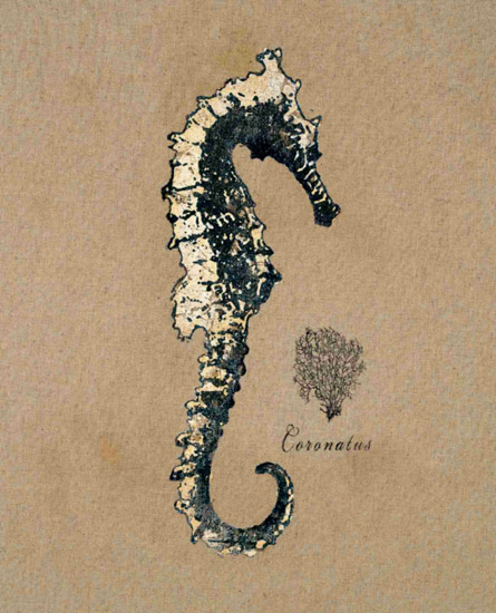 Kompatibelt Fortfarande liv till Jahrriesnge seahorse-lpf00180  Kompatibelt Fortfarande liv Jahrriesnge  till seahorse-lpf00180