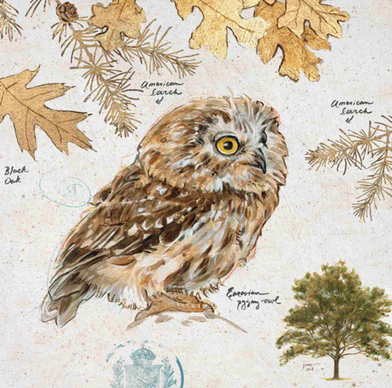Kompatibelt Fortfarande liv till Jahrriesnge owl-lpf00191  Kompatibelt Fortfarande liv Jahrriesnge  till owl-lpf00191