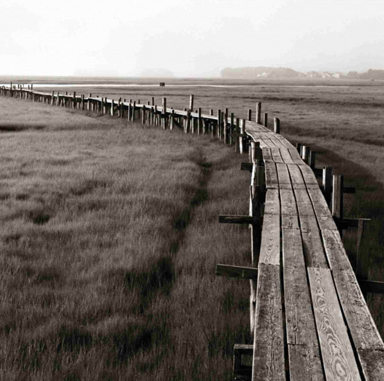 Kompatibelt Landskap till JAHRRIESNGE wooden-bridge-lpf00851  Kompatibelt Landskap JAHRRIESNGE  till wooden-bridge-lpf00851