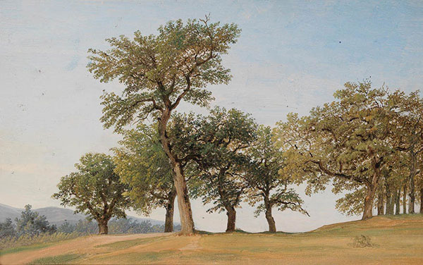 Kompatibelt Landskap till JAHRRIESNGE tree-lpf01635  Kompatibelt Landskap JAHRRIESNGE  till tree-lpf01635