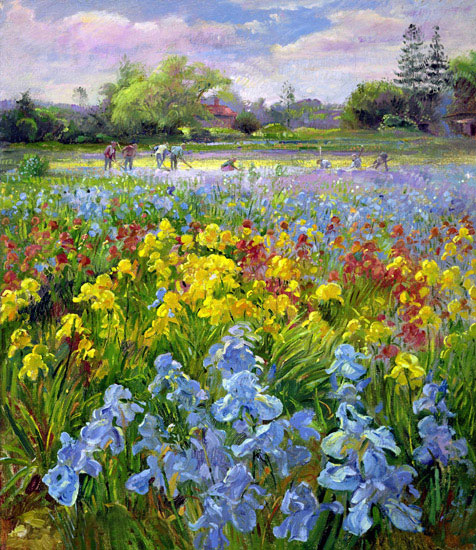 Kompatibelt Landskap till JAHRRIESNGE flower-field-lpf02507  Kompatibelt Landskap JAHRRIESNGE  till flower-field-lpf02507