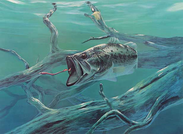 Kompatibelt djur till Jahrriesnge fish-lpf02522  Kompatibelt djur Jahrriesnge  till fish-lpf02522
