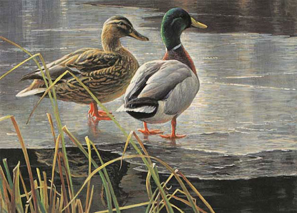 Kompatibelt djur till Jahrriesnge duck-lpf02523  Kompatibelt djur Jahrriesnge  till duck-lpf02523