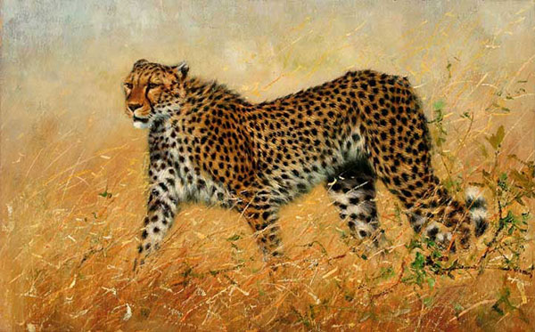 Kompatibelt djur till Jahrriesnge leopard-lpf02538  Kompatibelt djur Jahrriesnge  till leopard-lpf02538