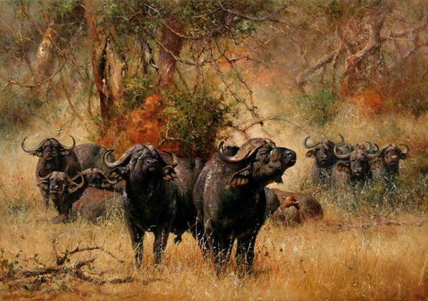 Kompatibelt djur till Jahrriesnge bison-lpf02540  Kompatibelt djur Jahrriesnge  till bison-lpf02540