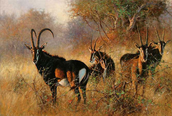 Kompatibelt djur till Jahrriesnge antelope-lpf02541  Kompatibelt djur Jahrriesnge  till antelope-lpf02541