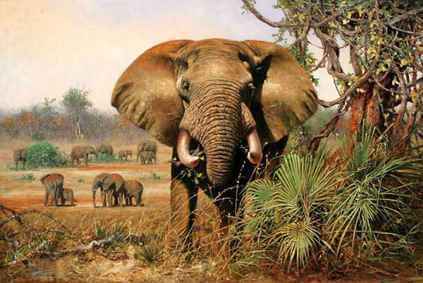 Kompatibelt djur till Jahrriesnge elephant-lpf02544  Kompatibelt djur Jahrriesnge  till elephant-lpf02544