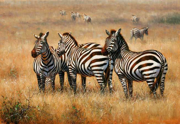 Kompatibelt djur till Jahrriesnge African-Zebra-lpf02545  Kompatibelt djur Jahrriesnge  till African-Zebra-lpf02545