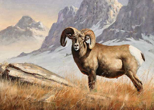 Kompatibelt djur till Jahrriesnge bighorn-sheep-lpf02546  Kompatibelt djur Jahrriesnge  till bighorn-sheep-lpf02546