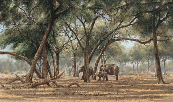 Kompatibelt djur till Jahrriesnge elephant-lpf02557  Kompatibelt djur Jahrriesnge  till elephant-lpf02557