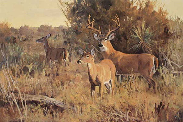 Kompatibelt djur till Jahrriesnge deers-lpf02559  Kompatibelt djur Jahrriesnge  till deers-lpf02559