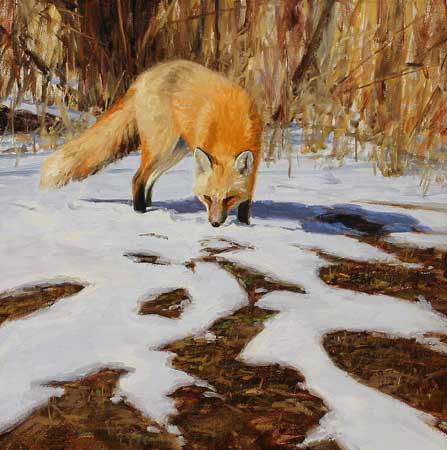 Kompatibelt djur till Jahrriesnge fox-lpf02566  Kompatibelt djur Jahrriesnge  till fox-lpf02566