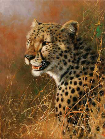 Kompatibelt djur till Jahrriesnge leopard-lpf02567  Kompatibelt djur Jahrriesnge  till leopard-lpf02567