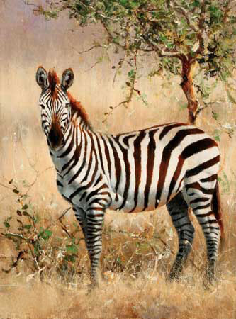 Kompatibelt djur Jahrriesnge  till zebra-lpf02570 
