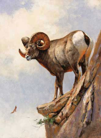 Kompatibelt djur till Jahrriesnge bighorn-sheep-lpf02574  Kompatibelt djur Jahrriesnge  till bighorn-sheep-lpf02574