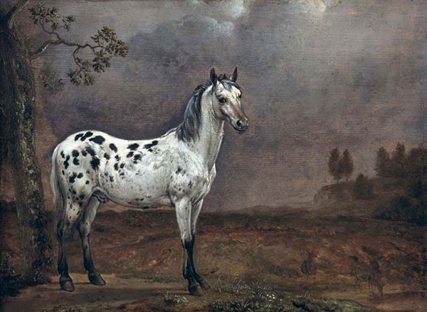 Kompatibelt djur till Jahrriesnge horse-lpf02607  Kompatibelt djur Jahrriesnge  till horse-lpf02607