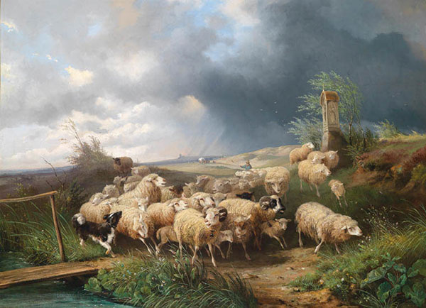 Kompatibelt djur till Jahrriesnge merino-lpf02614  Kompatibelt djur Jahrriesnge  till merino-lpf02614