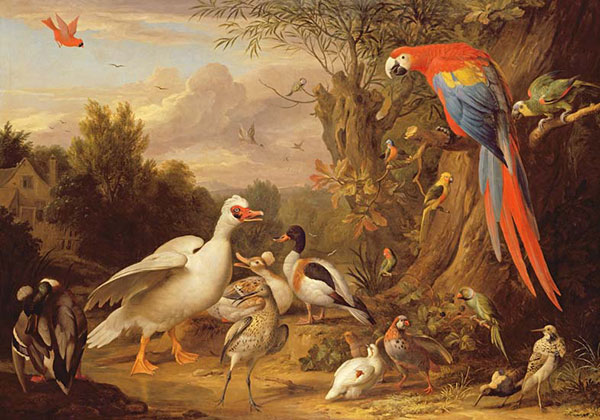 Kompatibelt djur till Jahrriesnge macaw-parrot-duck-lpf02623  Kompatibelt djur Jahrriesnge  till macaw-parrot-duck-lpf02623