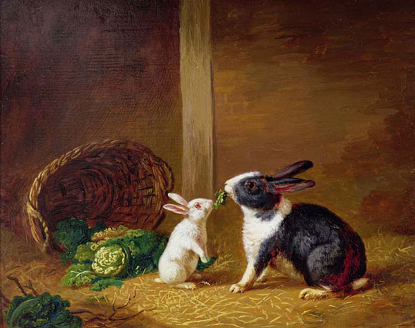 Kompatibelt djur till Jahrriesnge rabbit-lpf02630  Kompatibelt djur Jahrriesnge  till rabbit-lpf02630