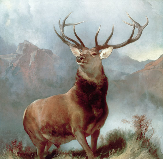 Kompatibelt djur till Jahrriesnge red-deer-lpf02655  Kompatibelt djur Jahrriesnge  till red-deer-lpf02655