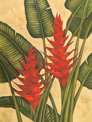 Kompatibelt Blommig till JAHRRIESNGE heliconia lpf04606  Kompatibelt Blommig JAHRRIESNGE  till heliconia lpf04606