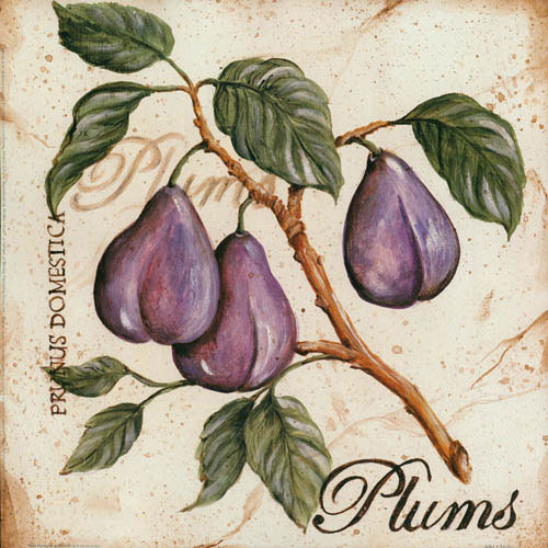 Kompatibelt Blommig till JAHRRIESNGE plums lpf05600  Kompatibelt Blommig JAHRRIESNGE  till plums lpf05600
