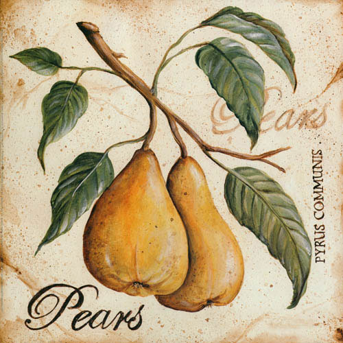 Kompatibelt Blommig till JAHRRIESNGE pears lpf05602  Kompatibelt Blommig JAHRRIESNGE  till pears lpf05602