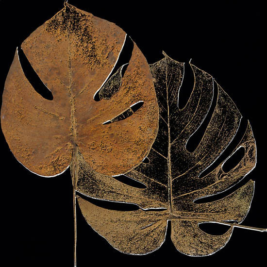 Kompatibelt Blommig till JAHRRIESNGE leaf-lpf07350  Kompatibelt Blommig JAHRRIESNGE  till leaf-lpf07350