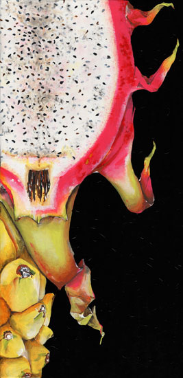 Kompatibelt Blommig till JAHRRIESNGE dragon fruit lpf08147  Kompatibelt Blommig JAHRRIESNGE  till dragon fruit lpf08147