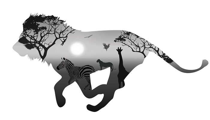 Kompatibelt djur till Jahrriesnge lion and zebra lpf08621  Kompatibelt djur Jahrriesnge  till lion and zebra lpf08621