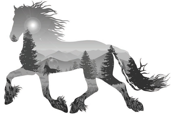 Kompatibelt djur till Jahrriesnge horse lpf08622  Kompatibelt djur Jahrriesnge  till horse lpf08622