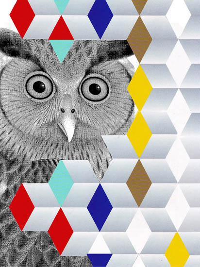 Kompatibelt djur till Jahrriesnge owl lpf08644  Kompatibelt djur Jahrriesnge  till owl lpf08644
