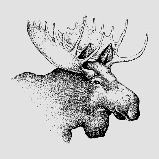 Kompatibelt djur till Jahrriesnge deer lpf08653  Kompatibelt djur Jahrriesnge  till deer lpf08653