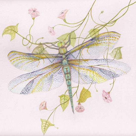 Kompatibelt djur till Jahrriesnge dragonfly lpf08679  Kompatibelt djur Jahrriesnge  till dragonfly lpf08679