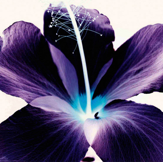 Kompatibelt Blommig till JAHRRIESNGE flowers lpf09990  Kompatibelt Blommig JAHRRIESNGE  till flowers lpf09990