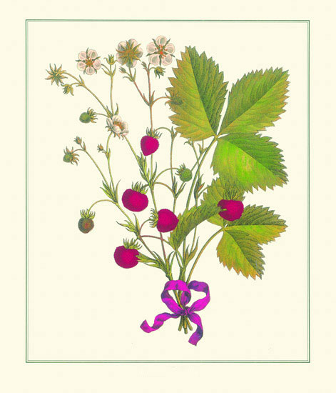 Kompatibelt Blommig till JAHRRIESNGE flowers lpf10186  Kompatibelt Blommig JAHRRIESNGE  till flowers lpf10186