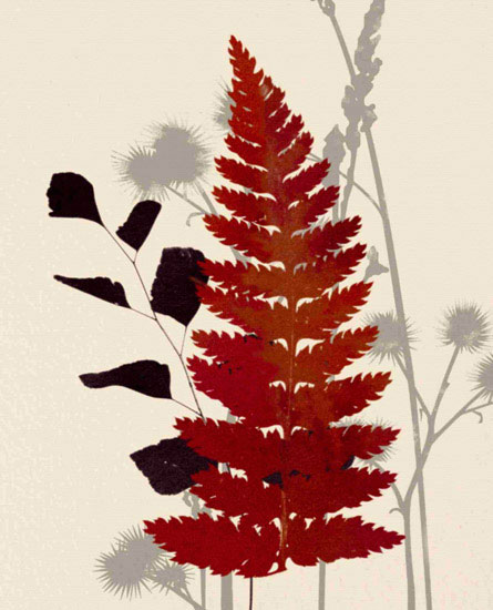 Kompatibelt Blommig till Jahrriesnge leaves lpf10284  Kompatibelt Blommig Jahrriesnge  till leaves lpf10284