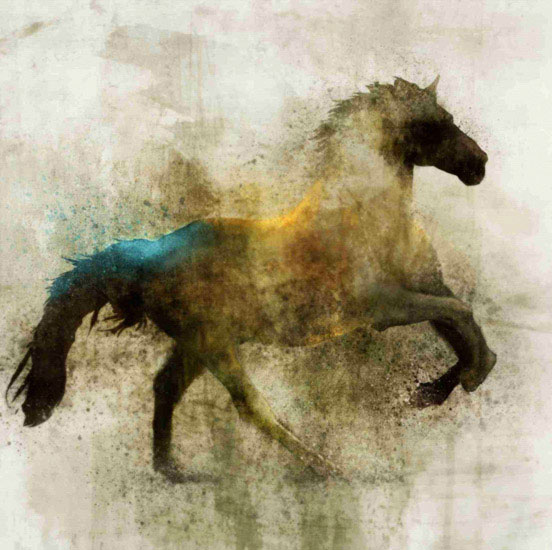 Kompatibelt djur till Jahrriesnge horse lpf10531  Kompatibelt djur Jahrriesnge  till horse lpf10531