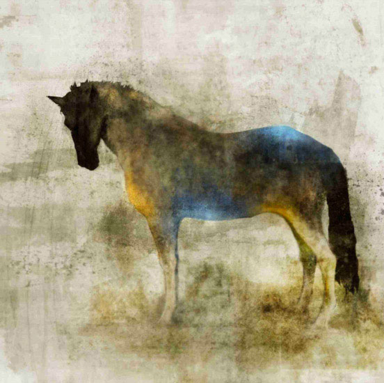 Kompatibelt djur till Jahrriesnge horse lpf10532  Kompatibelt djur Jahrriesnge  till horse lpf10532