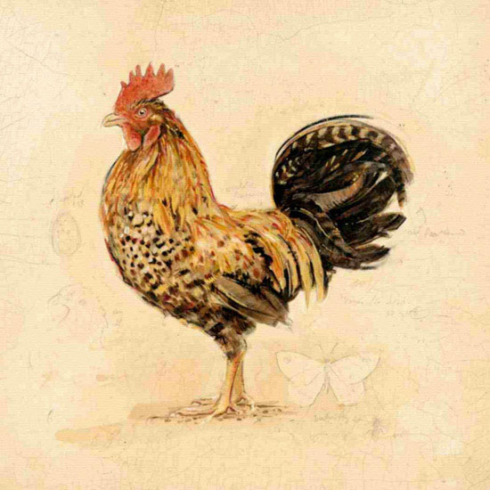Kompatibelt djur till Jahrriesnge cock lpf10566  Kompatibelt djur Jahrriesnge  till cock lpf10566