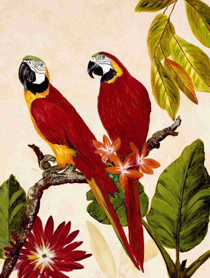 Kompatibelt djur till Jahrriesnge macaw lpf10599  Kompatibelt djur Jahrriesnge  till macaw lpf10599