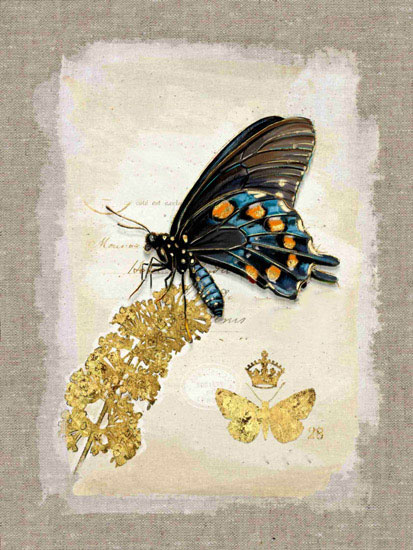 Kompatibelt djur till Jahrriesnge butterfly lpf10611  Kompatibelt djur Jahrriesnge  till butterfly lpf10611