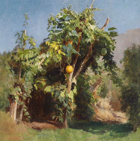 Kompatibelt Fortfarande liv till Jahrriesnge fruits lpf13493  Kompatibelt Fortfarande liv Jahrriesnge  till fruits lpf13493