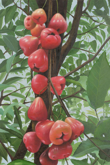 Kompatibelt Fortfarande liv till Jahrriesnge fruits lpf13649  Kompatibelt Fortfarande liv Jahrriesnge  till fruits lpf13649