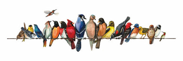 Kompatibelt djur till Jahrriesnge birds-song-lpg1000  Kompatibelt djur Jahrriesnge  till birds-song-lpg1000