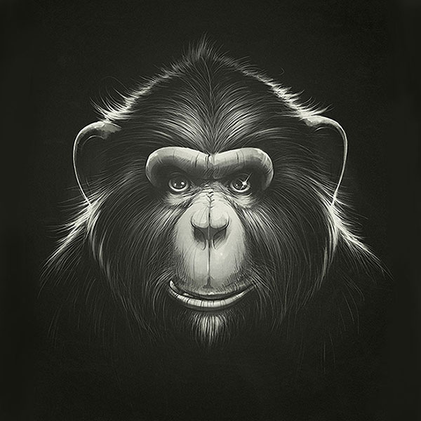 Kompatibelt djur till Jahrriesnge monkey-lpg1627  Kompatibelt djur Jahrriesnge  till monkey-lpg1627